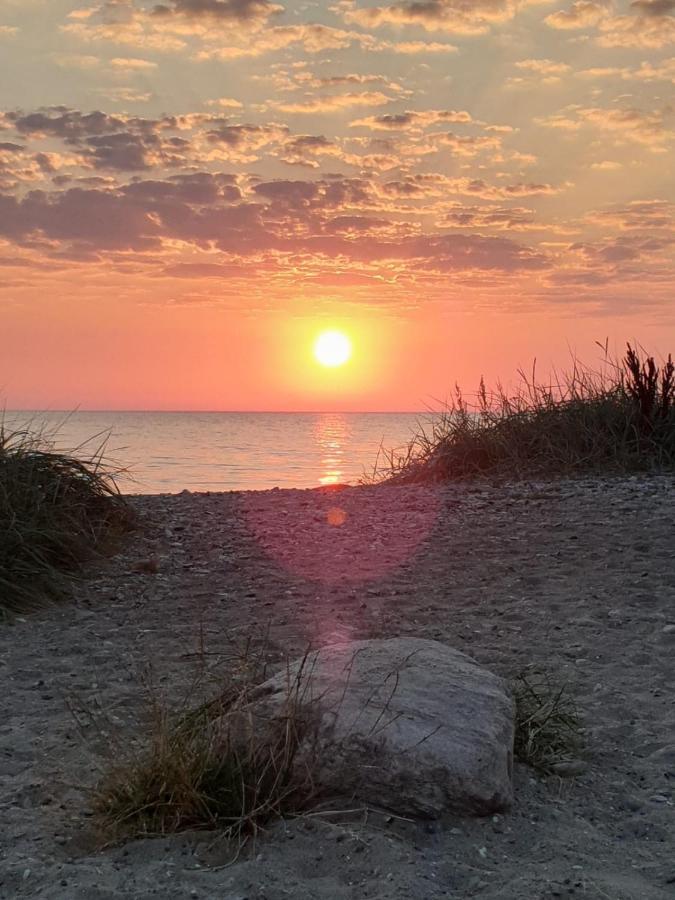 Fewo Mit Meerblick - Direktzugang Zur Nordsee Appartement Wilhelmshaven Buitenkant foto