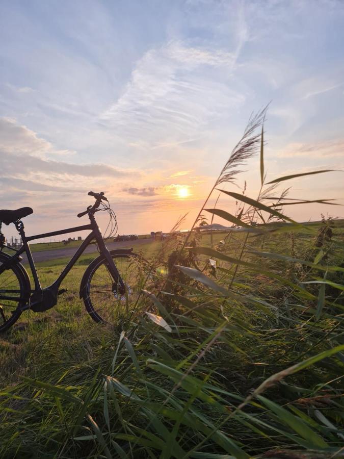Fewo Mit Meerblick - Direktzugang Zur Nordsee Appartement Wilhelmshaven Buitenkant foto